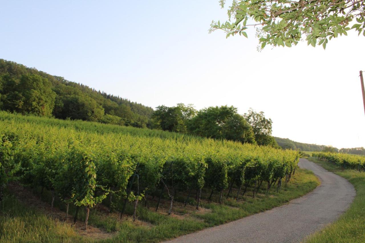 A L'Oree Des Vignes, Superbe Logement De 80 M2 Wangen Экстерьер фото